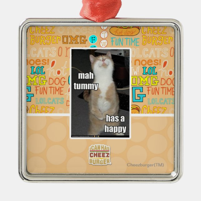 Milliamperestunden-Bauch hat ein glückliches Silbernes Ornament (Vorne)