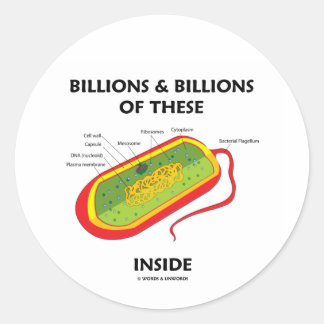 Milliarden von ihnen (Prokaryote) innen Runder Aufkleber
