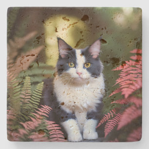 Millie die Ragdoll Katze, Steinuntersetzer