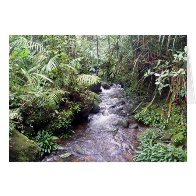 Millikinabalu-Bach (Vorderseite (Horizontal))