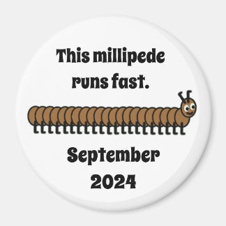 Millipede, braun magnet