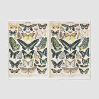 Millot Butterflies Seidenpapier