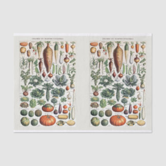 Millot Illustrationen, Gartengemüse, Decoupage Seidenpapier