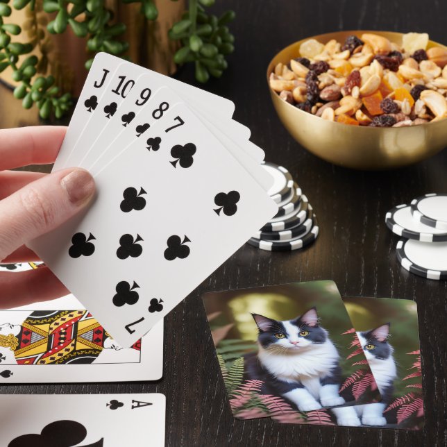 Milly die Ragdoll Katze, das Deck, Karten zu spiel Spielkarten (In Situ)