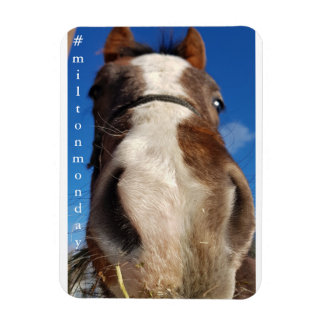 Milton Monday Magnet