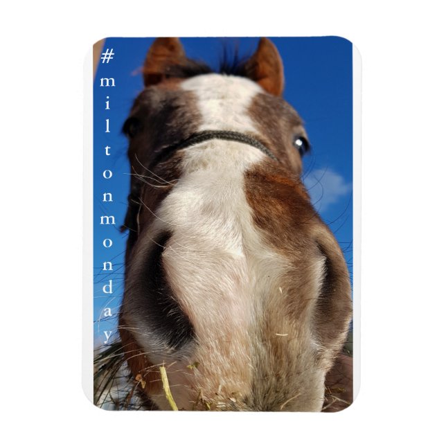 Milton Monday Magnet (Vertikal)