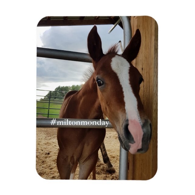 Milton Monday Magnet (Vertikal)