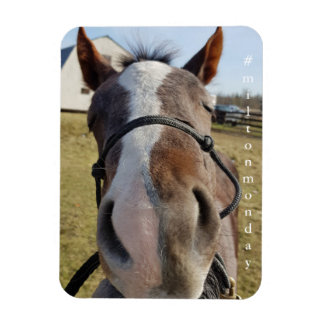 Milton Montag Magnet