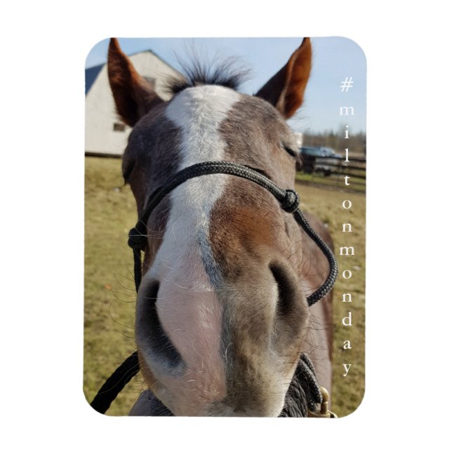 Milton Montag Magnet (Vertikal)