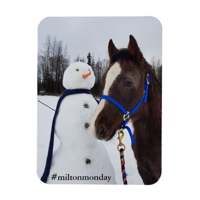 Milton Montag Magnet (Vertikal)