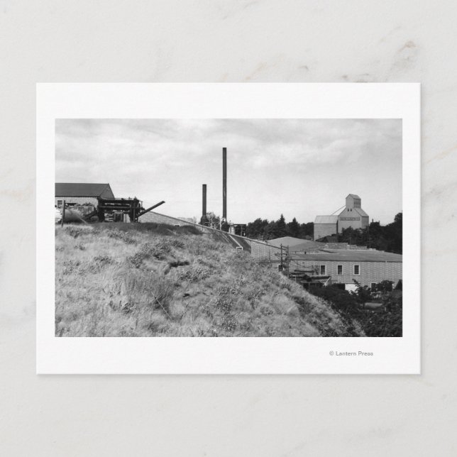 Milton, Oregon Ansicht Town Elevator Foto Postkarte (Vorderseite)