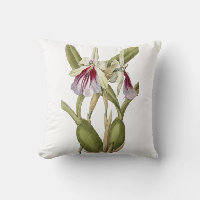 Miltonia Spectabilis orchid botanisches Wurfkissen Kissen (Vorderseite)