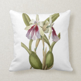 Miltonia Spectabilis Orchidee botanisches Zierkiss Kissen