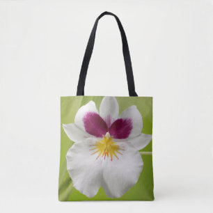 Miltoniopsis Roezlii (Pansy Orchids)