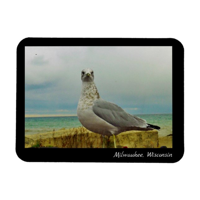 Milwaukee, Wisconsin Magnet (Horizontal)