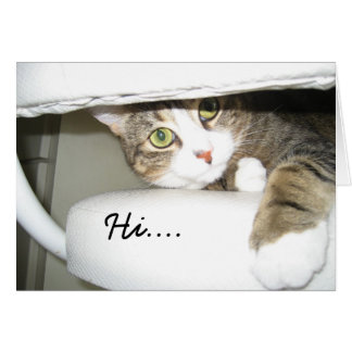 Mimi