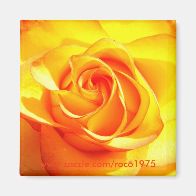 Mimi Rose Magnet (Vorne)