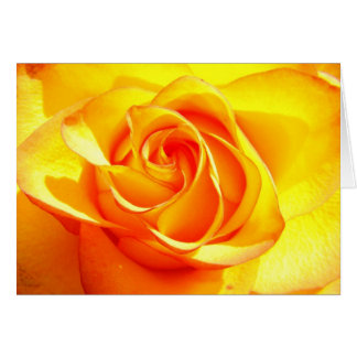 Mimi-Rose - Unfallopfer