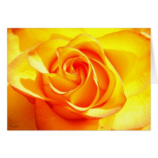 Mimi-Rose - Unfallopfer (Vorderseite (Horizontal))