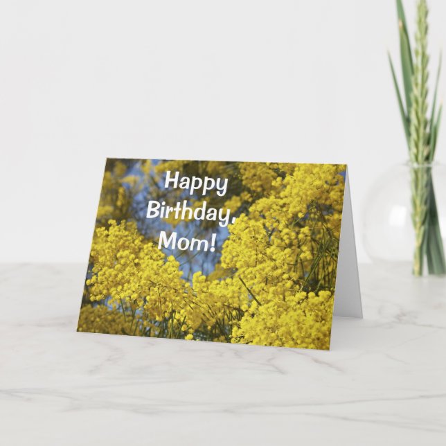 Mimosa Bloom Happy Birthday Card Karte (Vorderseite)