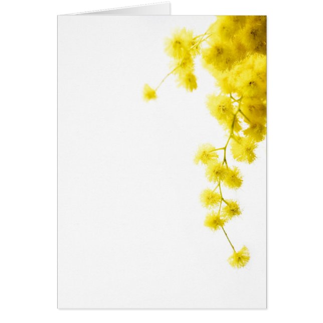 Mimosa Card (Vorne)
