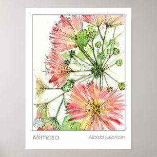 Mimosa Pflanze Rosa Blume Poster