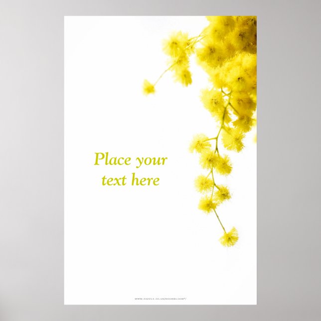 Mimosa Poster (Vorne)