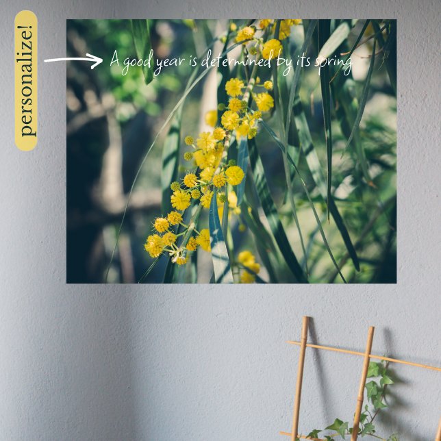 Mimosa Tree mit gelben Blumen Poster (Von Creator hochgeladen)