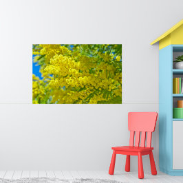 Mimosa Yellow Blume Floral Botanische Fotografie Poster