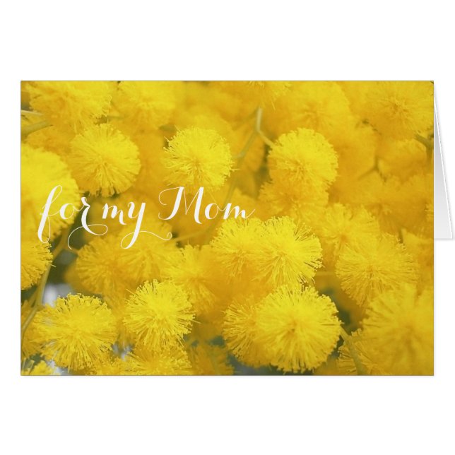 Mimose für Mama (Vorderseite (Horizontal))
