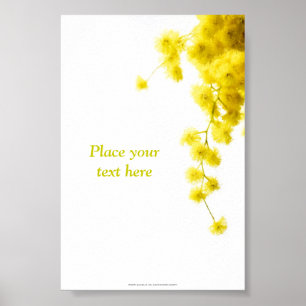 Mimose Poster