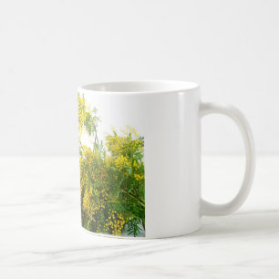 Mimose Tasse