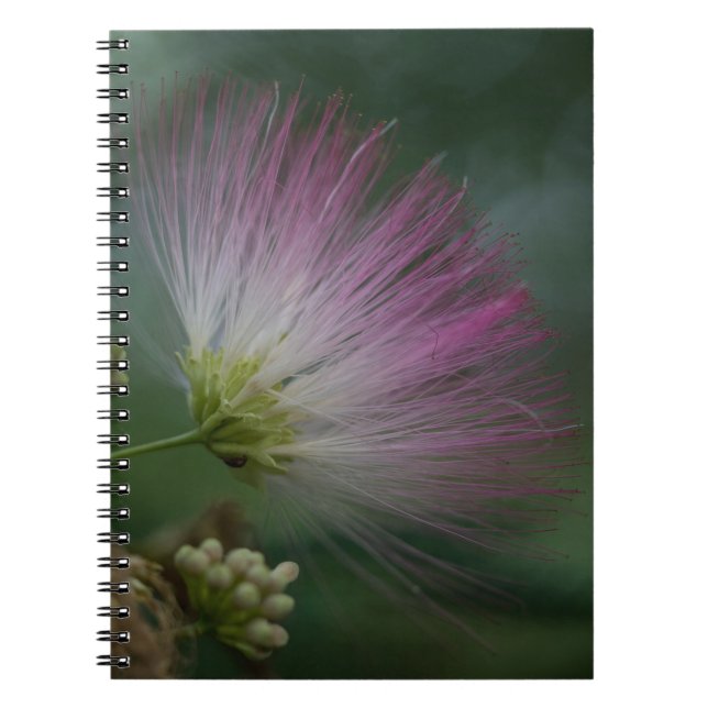 Mimosen-Baum-Rosa-Wildblume-Blumennotizbuch Notizblock (Vorderseite)
