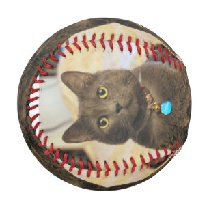 Mims Baseball
