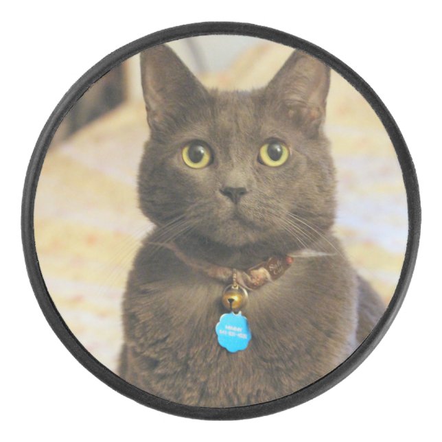 Mims Eishockey Puck (Vorderseite)