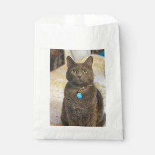 Mims Geschenktütchen