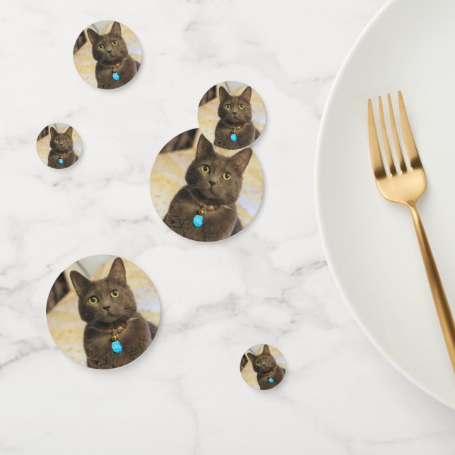 Mims Konfetti (Gruppe)