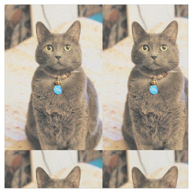 Mims Stoff (Nahaufnahme)