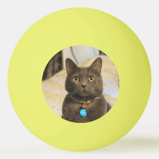 Mims Tischtennisball (Vorderseite)