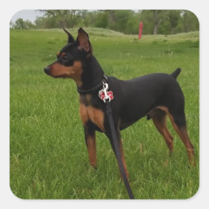 Min Button Quadratischer Aufkleber