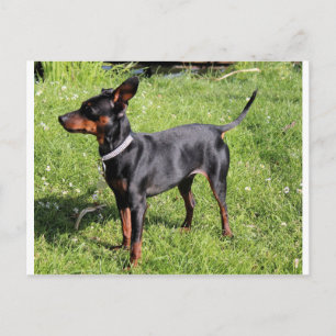 min Button schwarz und Rost voll Postkarte