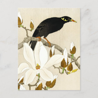 Mina On Magnolia Branch von Koson, Common Hill Min Postkarte