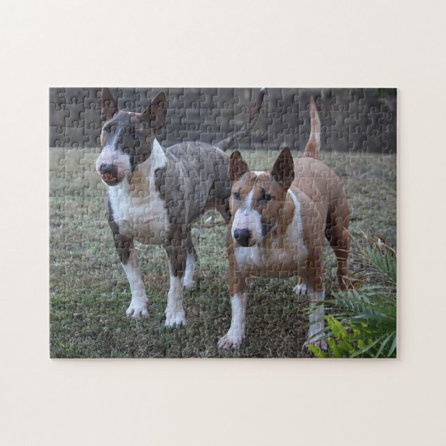 Minature Bull Terrier Puzzle (Horizontal)