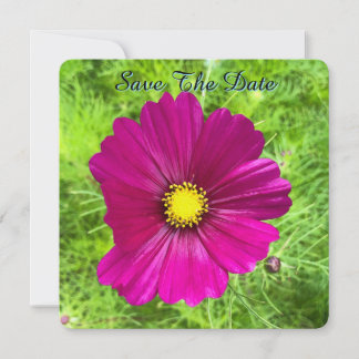 Mind Edition: Kosmos Save the Date