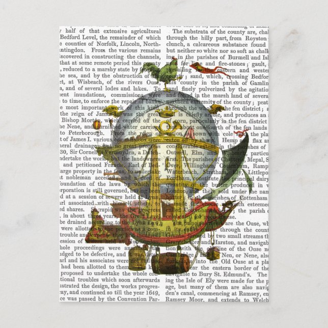 Mineral Hot Air Ballon Postkarte (Vorderseite)