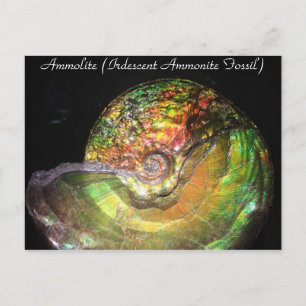 Mineralien & Gems # 127 Postkarte