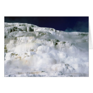 Minerva Terrace auf dem Yellowstone Nationalpark
