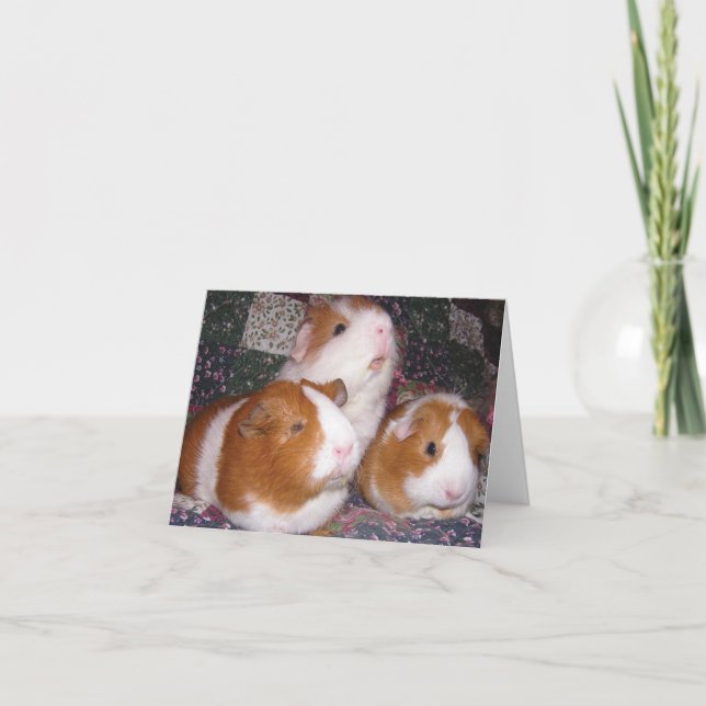 Minerva und Freunde Notecard Karte (Vorderseite)