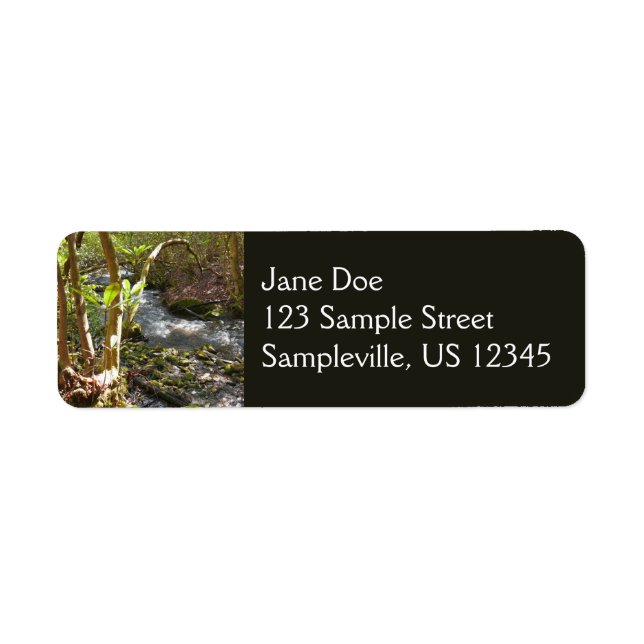 Mingus Creek at Smoky Mountains (Vorne)