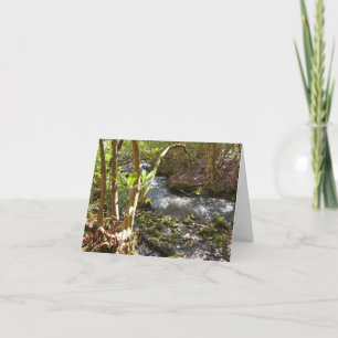 Mingus Creek auf den Smoky-Bergen Karte